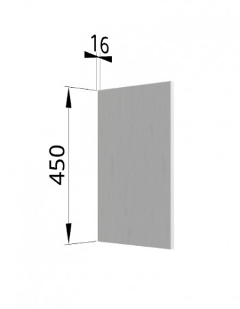 Панель торцевая (для шкафа горизонтального высокого) ВПГ Ройс (Графит софт) в Тулинском - tulinskij.mebel54.com | фото
